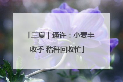 三夏｜通许：小麦丰收季 秸秆回收忙