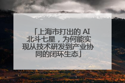 上海市打出的 AI 北斗七星，为何能实现从技术研发到产业协同的闭环生态