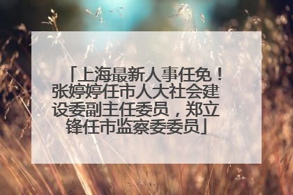 上海最新人事任免！张婷婷任市人大社会建设委副主任委员，郑立锋任市监察委委员