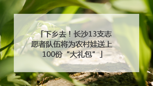 下乡去！长沙13支志愿者队伍将为农村娃送上100份“大礼包”