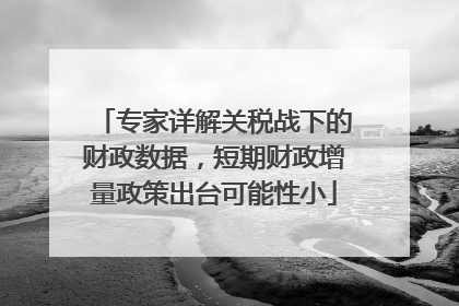 专家详解关税战下的财政数据，短期财政增量政策出台可能性小