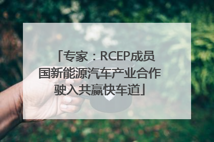 专家：RCEP成员国新能源汽车产业合作驶入共赢快车道