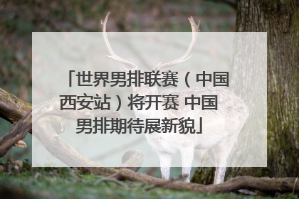 世界男排联赛（中国西安站）将开赛 中国男排期待展新貌