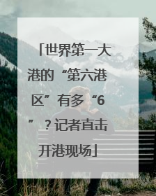 世界第一大港的“第六港区”有多“6”？记者直击开港现场