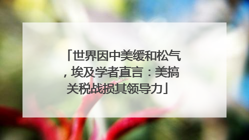 世界因中美缓和松气，埃及学者直言：美搞关税战损其领导力