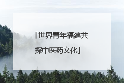 世界青年福建共探中医药文化