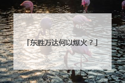 东胜万达何以爆火？