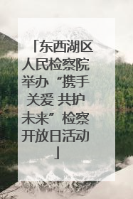 东西湖区人民检察院举办“携手关爱 共护未来”检察开放日活动