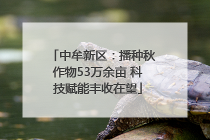 中牟新区：播种秋作物53万余亩 科技赋能丰收在望