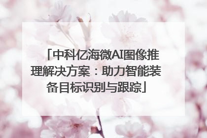 中科亿海微AI图像推理解决方案：助力智能装备目标识别与跟踪