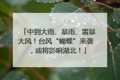 中到大雨、暴雨、雷暴大风！台风“蝴蝶”来袭，或将影响湖北！
