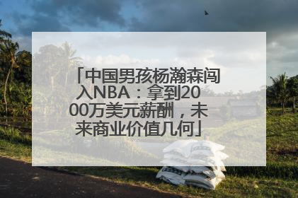 中国男孩杨瀚森闯入NBA：拿到2000万美元薪酬，未来商业价值几何