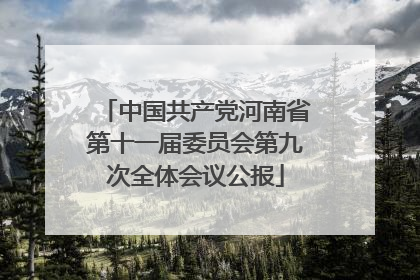 中国共产党河南省第十一届委员会第九次全体会议公报