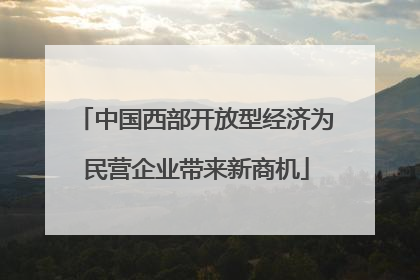 中国西部开放型经济为民营企业带来新商机