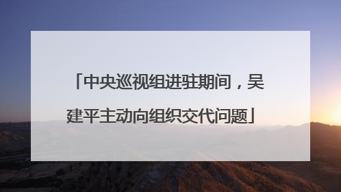 中央巡视组进驻期间，吴建平主动向组织交代问题