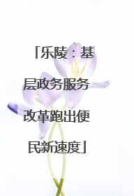 乐陵：基层政务服务改革跑出便民新速度