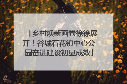 乡村焕新画卷徐徐展开！谷城石花镇中心公园奋进建设初显成效