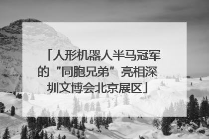 人形机器人半马冠军的“同胞兄弟”亮相深圳文博会北京展区