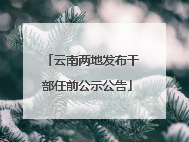 云南两地发布干部任前公示公告