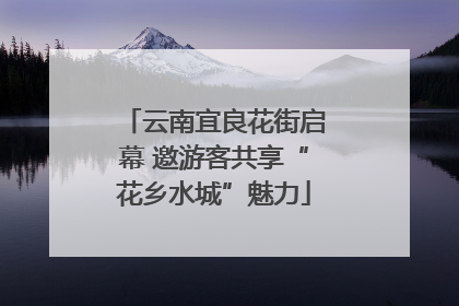 云南宜良花街启幕 邀游客共享“花乡水城”魅力