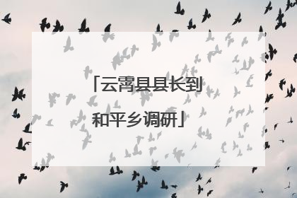 云霄县县长到和平乡调研