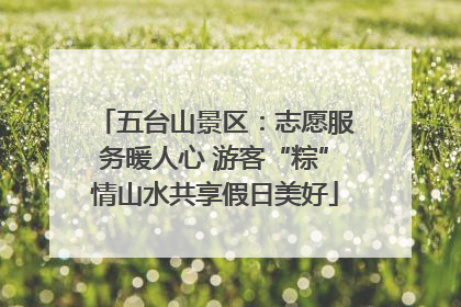 五台山景区：志愿服务暖人心 游客“粽”情山水共享假日美好