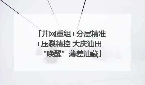 井网重组+分层精准+压裂精控 大庆油田“唤醒”薄差油藏
