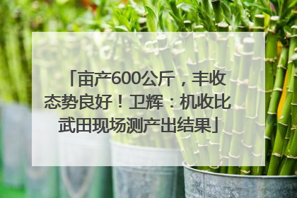 亩产600公斤，丰收态势良好！卫辉：机收比武田现场测产出结果