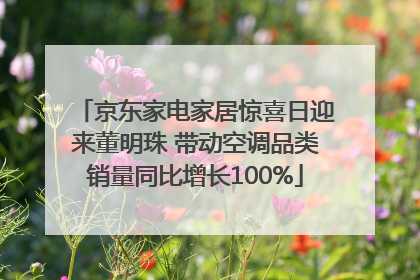 京东家电家居惊喜日迎来董明珠 带动空调品类销量同比增长100%