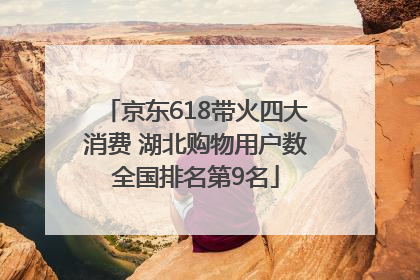 京东618带火四大消费 湖北购物用户数全国排名第9名