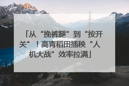 从“挽裤腿”到“按开关”！高青稻田插秧“人机大战”效率拉满