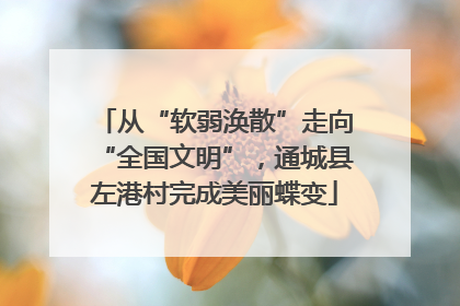 从“软弱涣散”走向“全国文明”，通城县左港村完成美丽蝶变