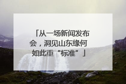 从一场新闻发布会，洞见山东缘何如此重“标准”