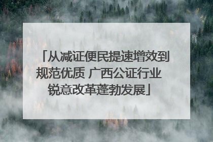 从减证便民提速增效到规范优质 广西公证行业锐意改革蓬勃发展