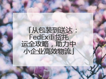 从包装到送达：FedEx重货托运全攻略，助力中小企业高效物流