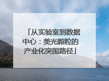 从实验室到数据中心：美光颗粒的产业化突围路径