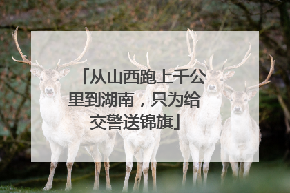 从山西跑上千公里到湖南，只为给交警送锦旗