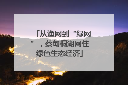 从渔网到“绿网”，蔡甸桐湖网住绿色生态经济