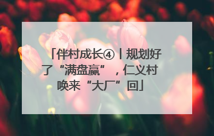 伴村成长④丨规划好了“满盘赢”，仁义村唤来“大厂”回