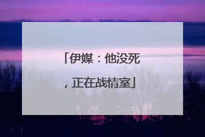 伊媒：他没死，正在战情室