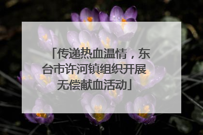 传递热血温情，东台市许河镇组织开展无偿献血活动
