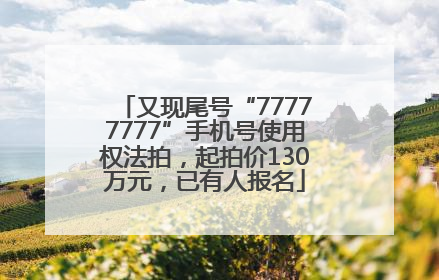又现尾号“77777777”手机号使用权法拍，起拍价130万元，已有人报名