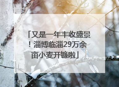 又是一年丰收盛景！淄博临淄29万余亩小麦开镰啦