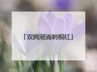 双拥潮涌刺桐红