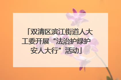 双清区滨江街道人大工委开展“法治护绿护安人大行”活动