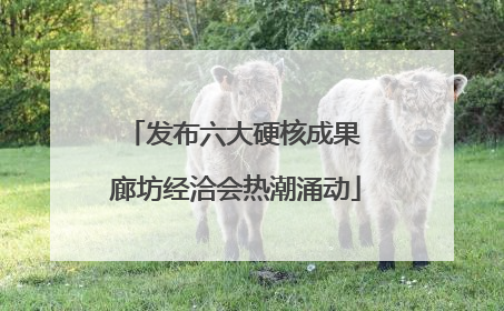 发布六大硬核成果 廊坊经洽会热潮涌动