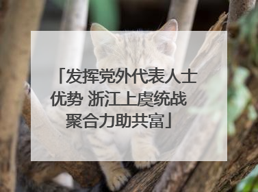 发挥党外代表人士优势 浙江上虞统战聚合力助共富