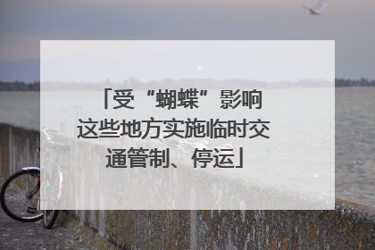 受“蝴蝶”影响 这些地方实施临时交通管制、停运