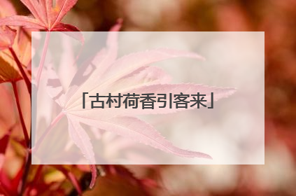 古村荷香引客来