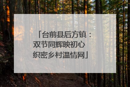 台前县后方镇：双节同辉映初心 织密乡村温情网